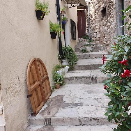 Room With Shared Bathroom House Gorica Sibenik Ngoại thất bức ảnh